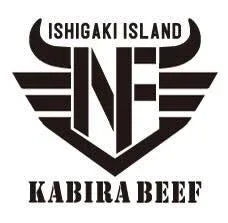 川平牛 国産黒毛和牛 ハンバーグ ギフト 冷凍発送 gift hamburger steak