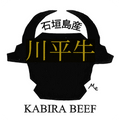 Kabira Logo